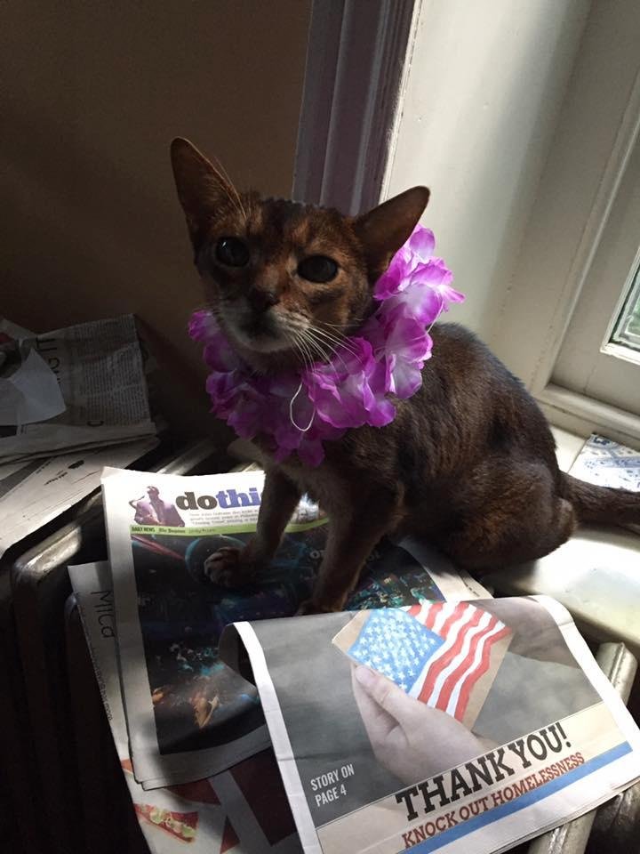 Let's celebrate! Happy 4th of July weekend everyone! -Zack