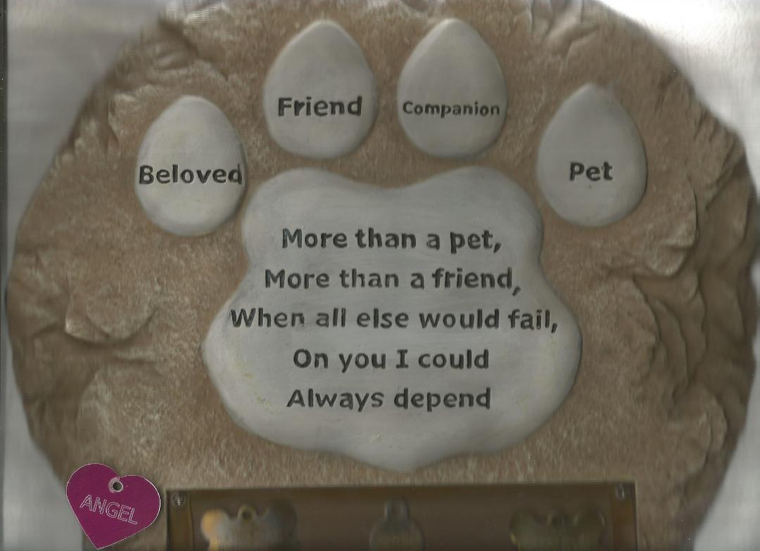 I've owned 4 dogs for every cat I've owned, but dogs have this way. They do everything the picture they say, and more. I've loved my cats too. Cat's will put a dog in its place quickly, lol.