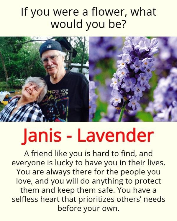 Janis Carlin's album, Timeline photos