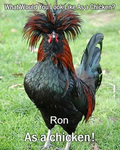 Ron Lawrence's album, Timeline Photos