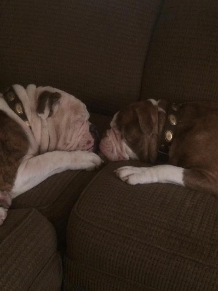 Miles and Maya