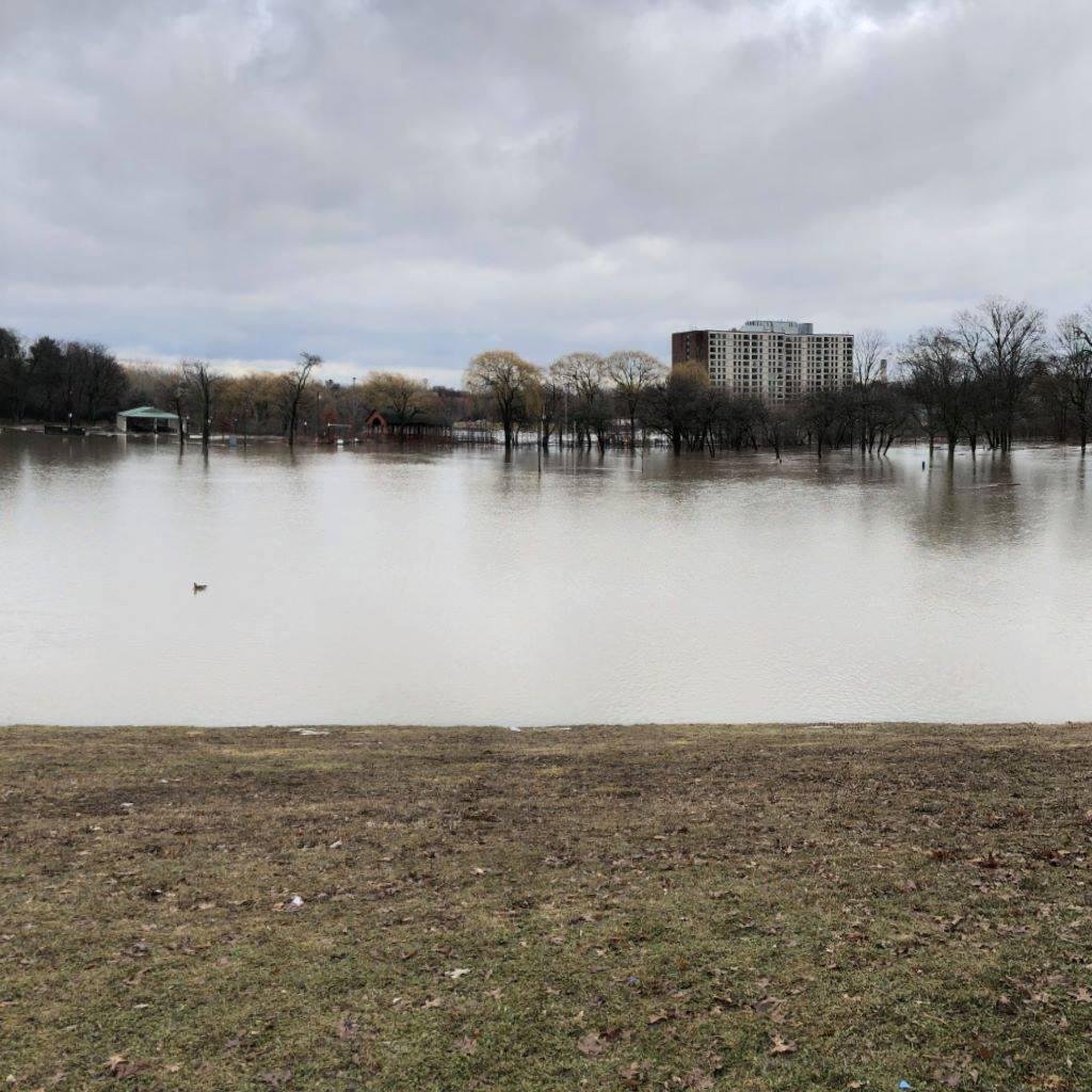 Our Ford Field Park is now Ford Field Lake.......