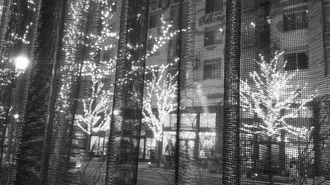 Day 2 of 7. Black and white photo of your day. No caption. No people. Challenge a different person each day. Today I challenge Caitlin Volpe
