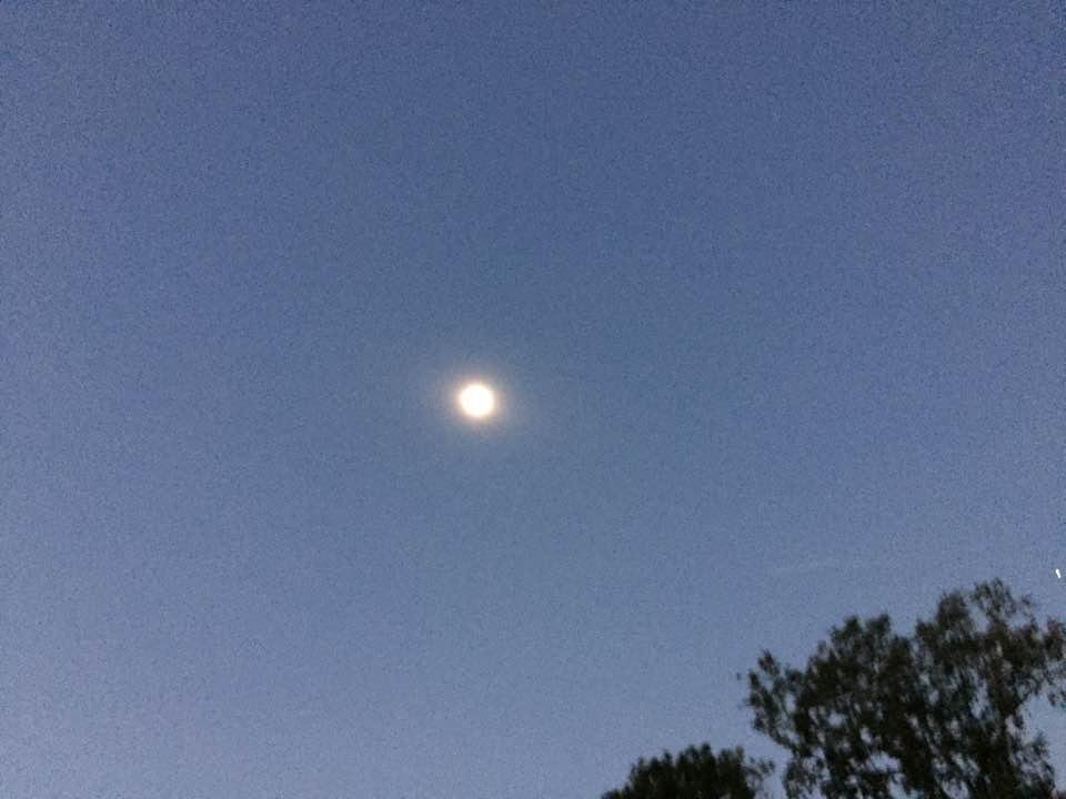 Totality in Hopkins, SC yesterday. Felt like a stormchaser driving cross state to avoid clouds but we had a beautiful view.