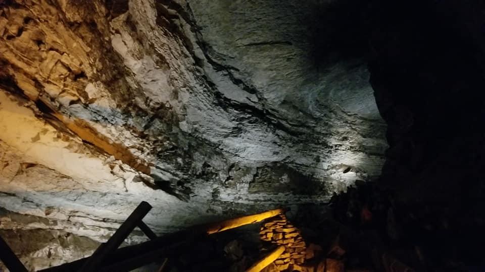 Larry Killian's album, Summer 2019 Mammoth Cave