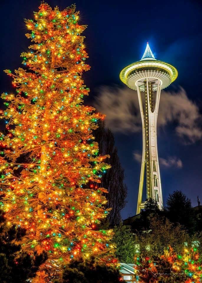 Melodie Fox's album, Timeline Photos
