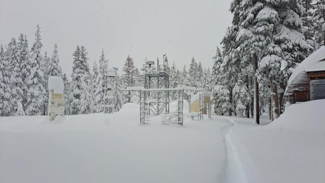 “Global warming strikes again!” - Al Gore