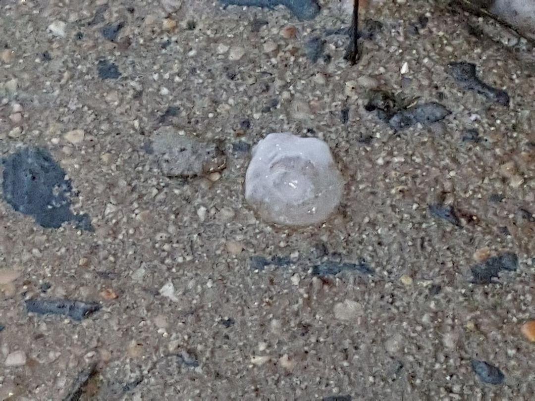 1/2 hail storm frederick md