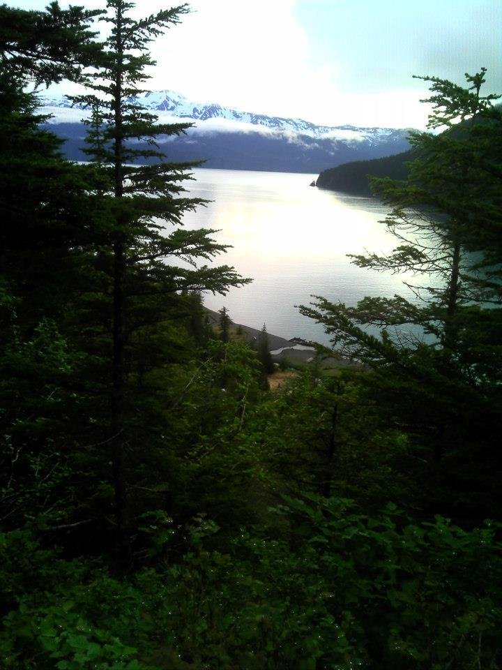 Rick Wicks' album, Alaska summer 2012
