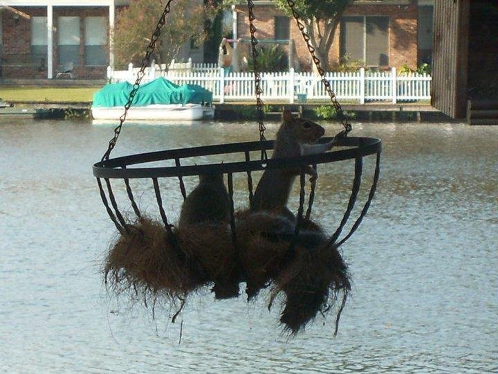 Shipmates...keeping look-out in the Crow's nest.
