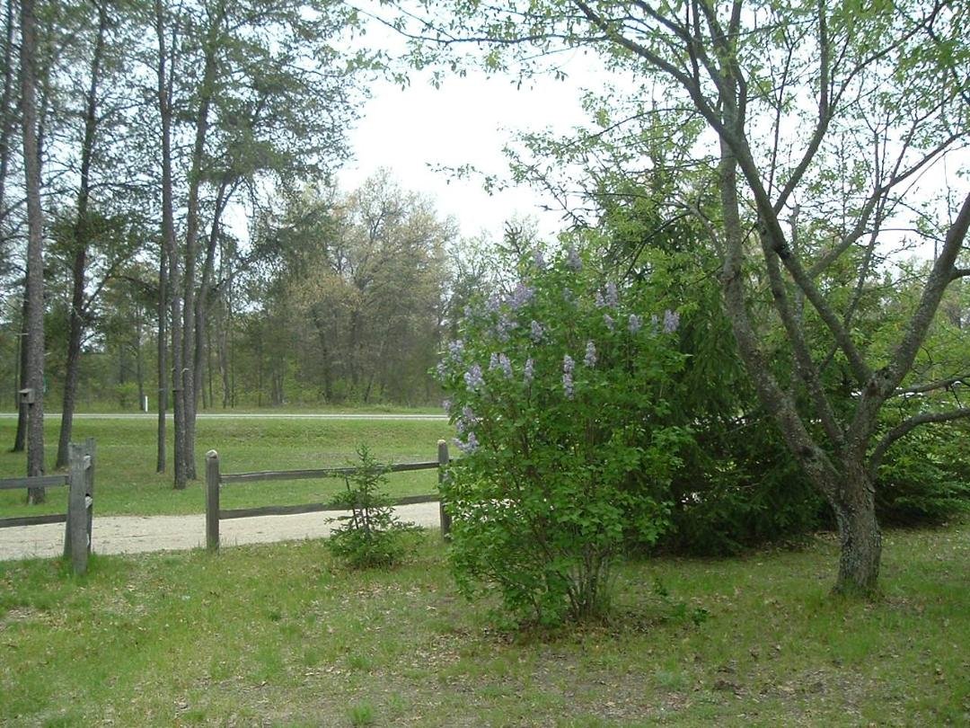 this is a lilac from my mother that i finally got to bloom then we get frost hoping it dont kill all flowers lou ill keep a shout for you
