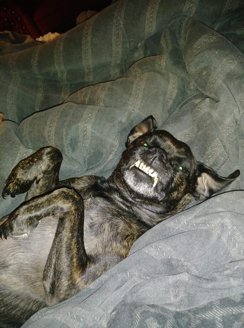 My demon child lol
