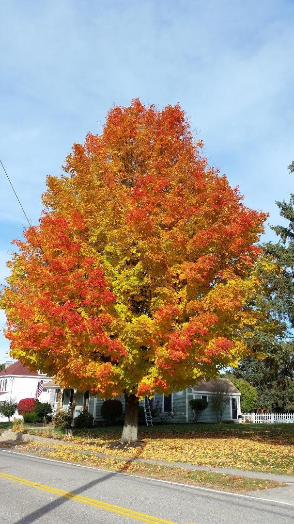 Market Street, Amesbury, MA