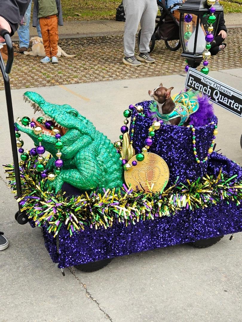 One of the cute floats!
Mardi Paws