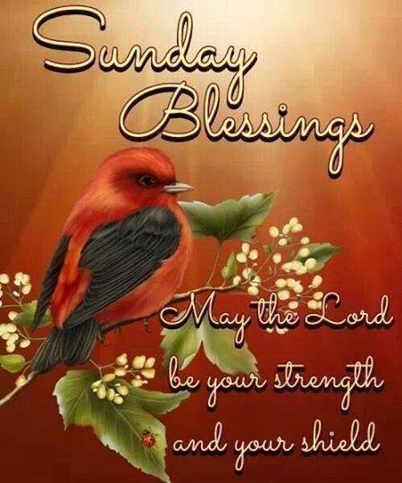 Good Morning My Friends. Hope You have a Blessed Day...((;'(>
