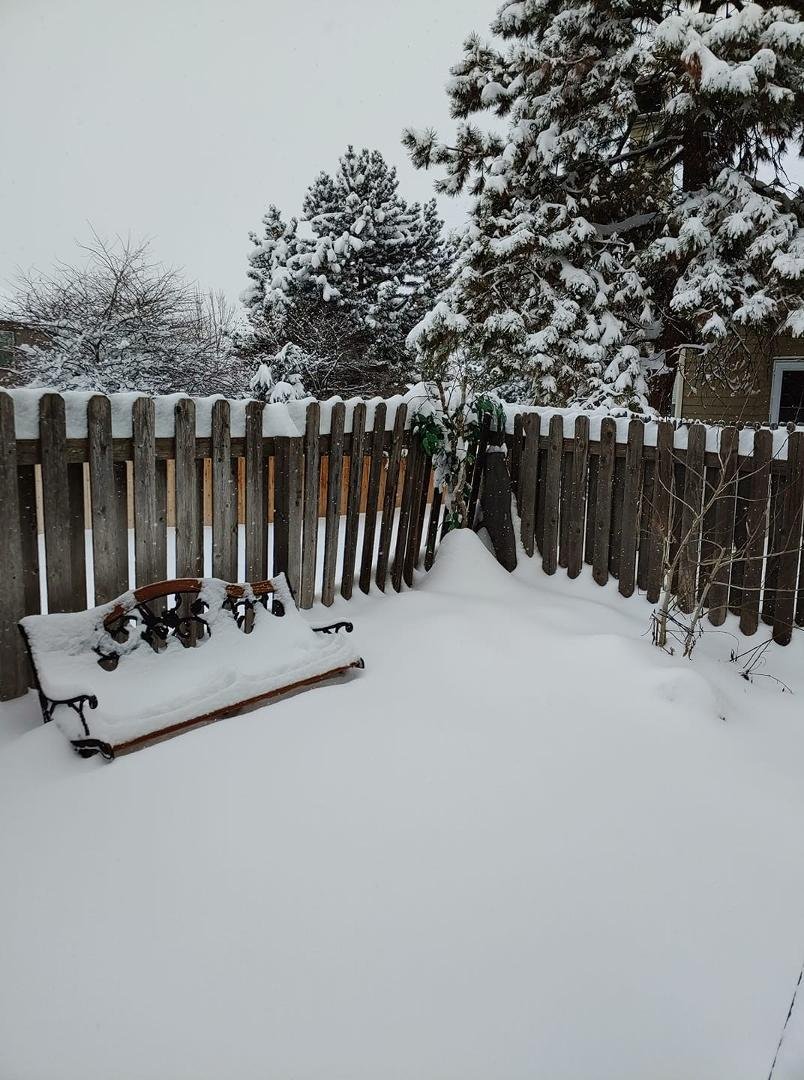 Another wonderful day in Colorado...sixteen inches and still snowing