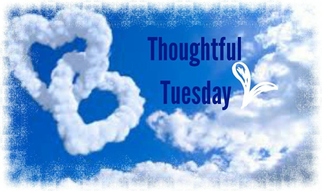 Cindy Chambers' album, Timeline Photos