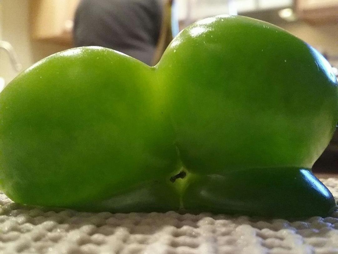 I'm not sure if this is a Martian or not!