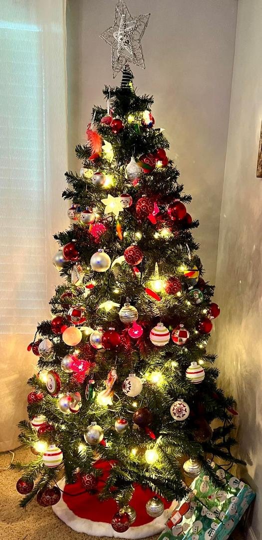 Christmas tree up. !!