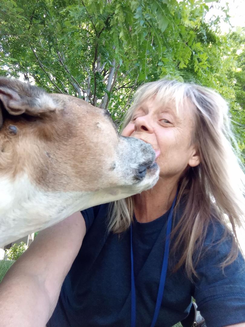 Gotta, love this dog! R I P Sugar!!!