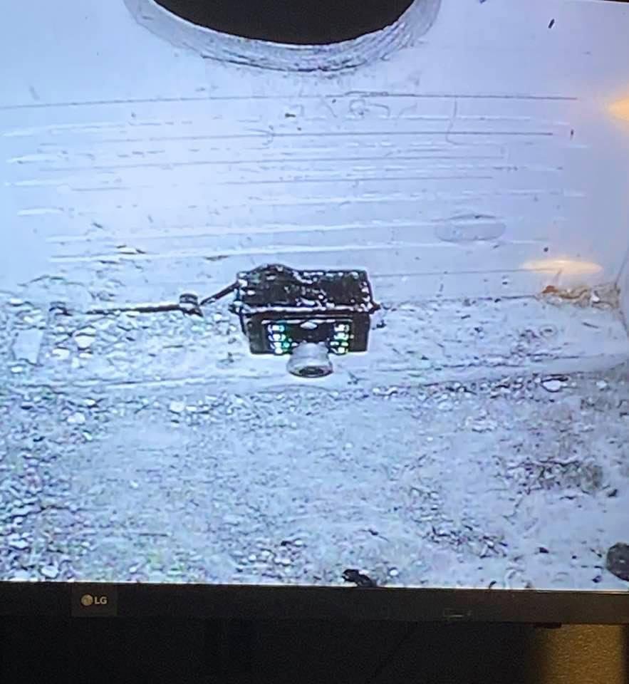 Well, I believe the OwlBox 2020 season has come to a close.  Thanks for joining us!  (And you’d better believe they are NOT getting their security deposit back.  Would you look at that mess?!)