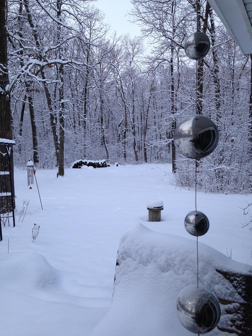 Winter wonderland just out my door