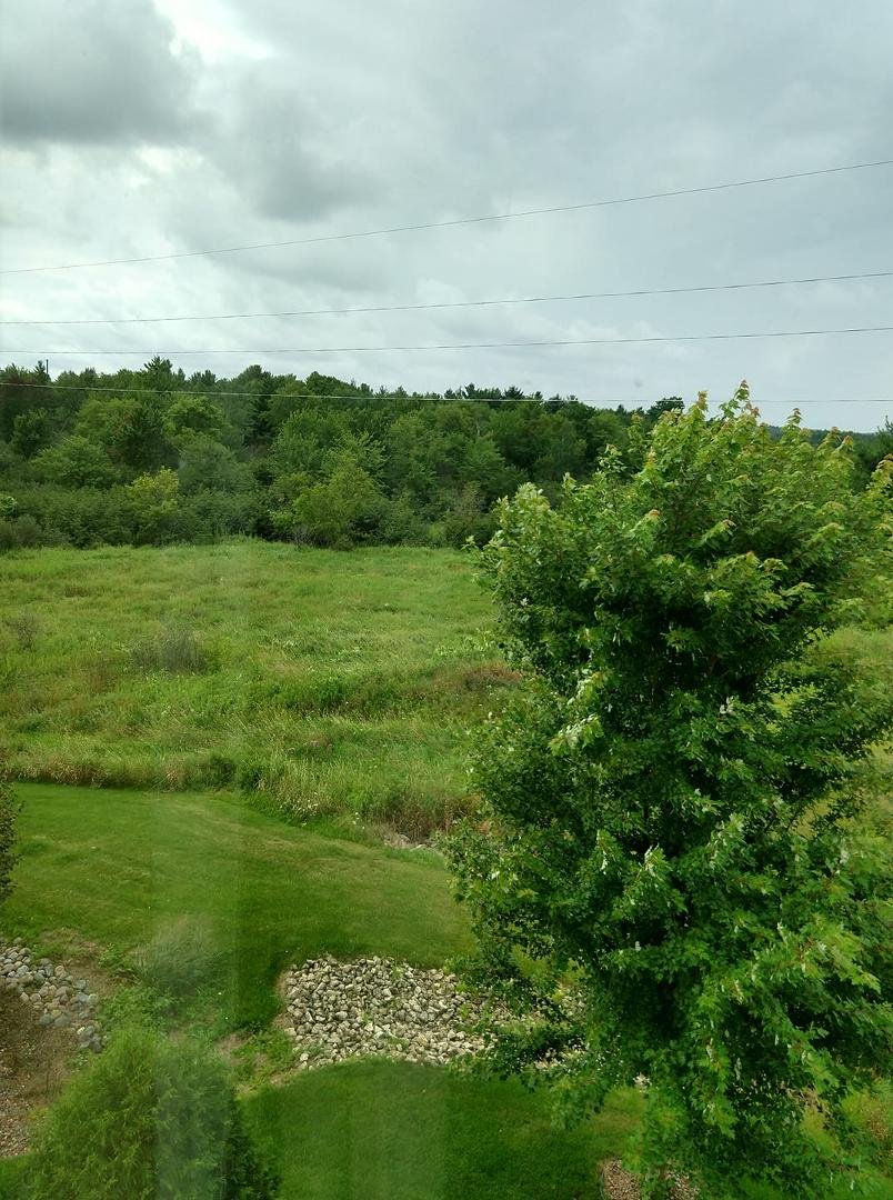 View from my room in Wisconsin