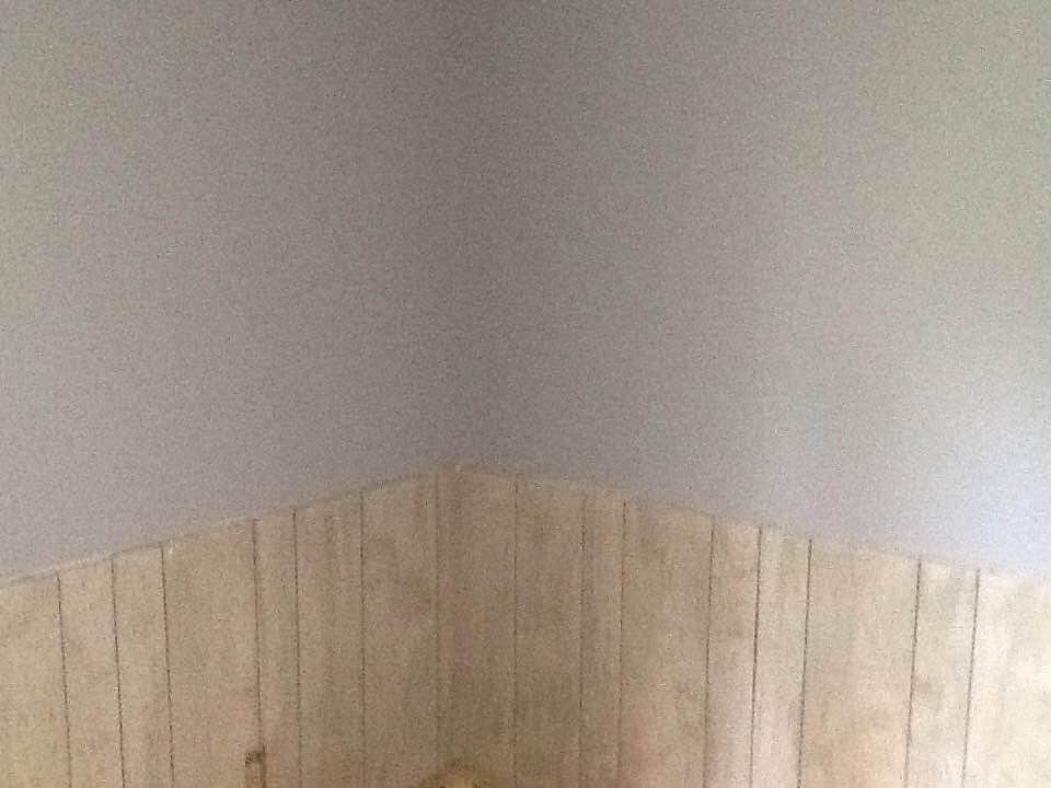 Sally Wood's album, Timeline Photos