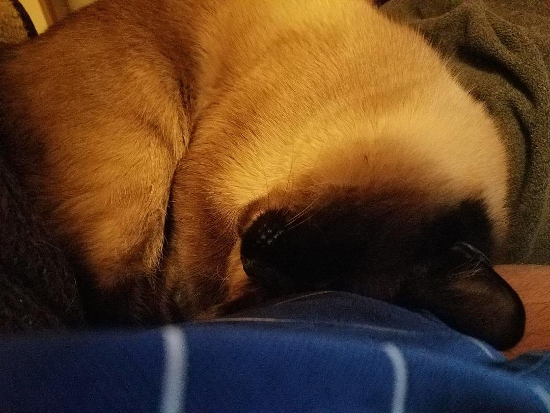He's cute, but it's hard to move my arm.