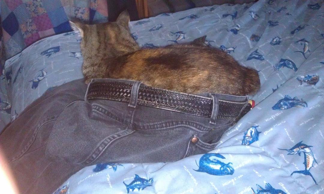 Look who wears the pants in our house!