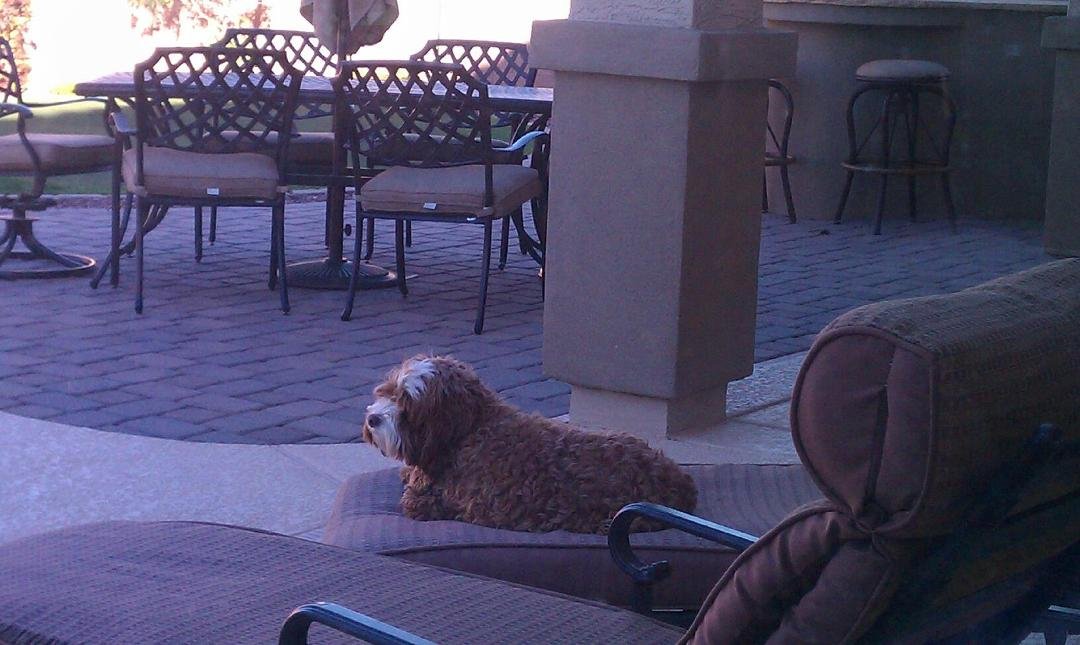 Her rough life