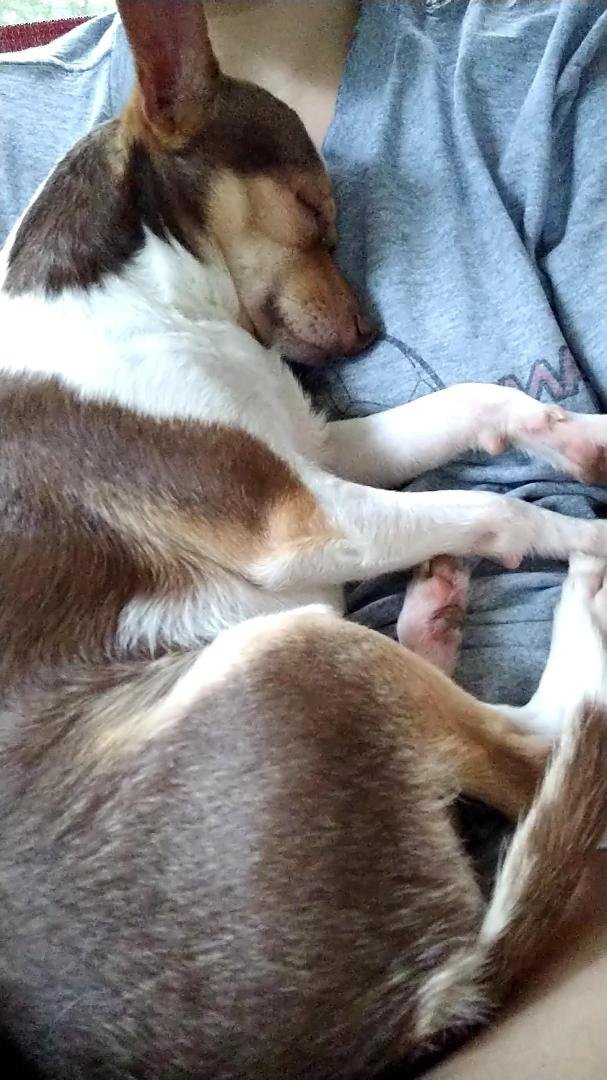 My baby loves Jenna