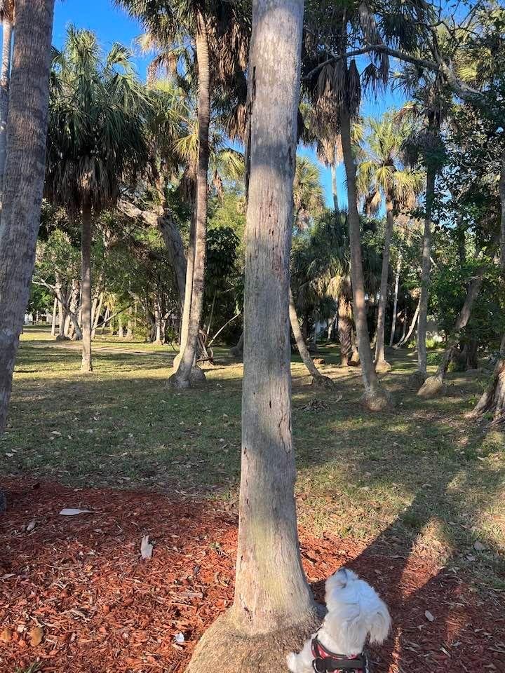 Mia just loves squirrels at this mini park