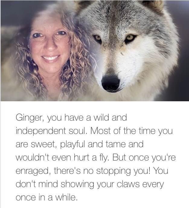 Ginger Hall's album, Timeline Photos