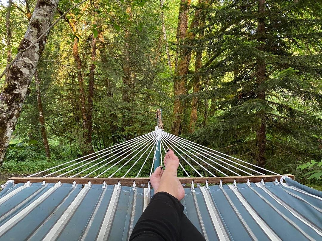 The view from my hammock.