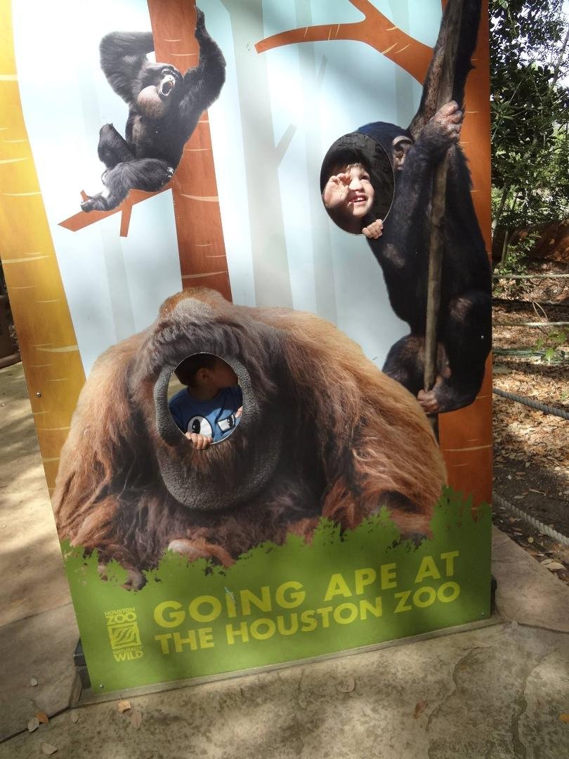 Fun at the Zoo