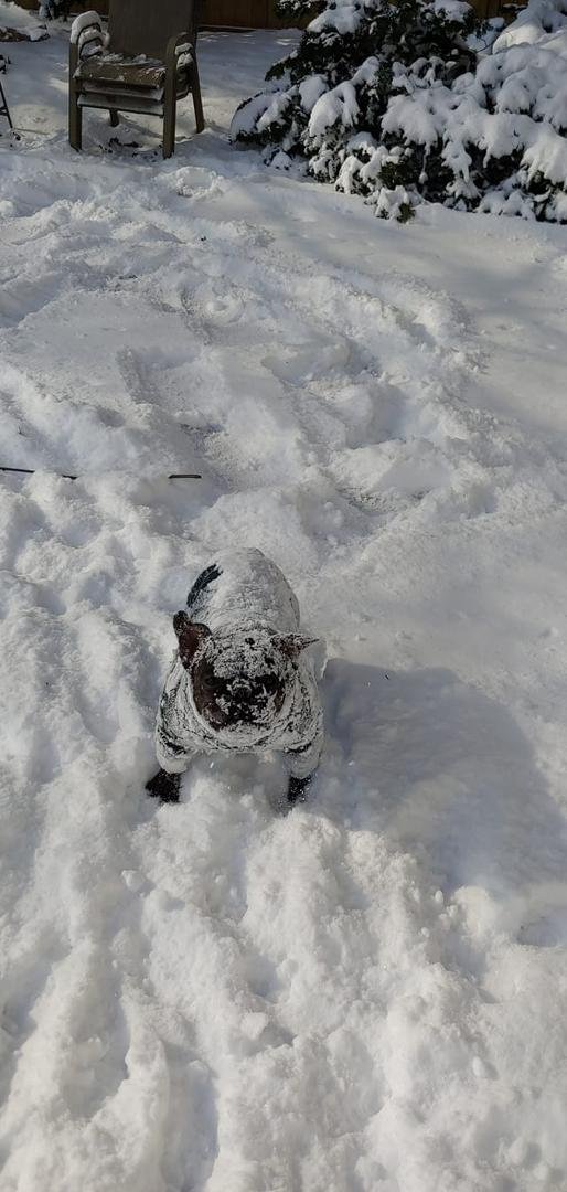Who is that underneath all that snow?