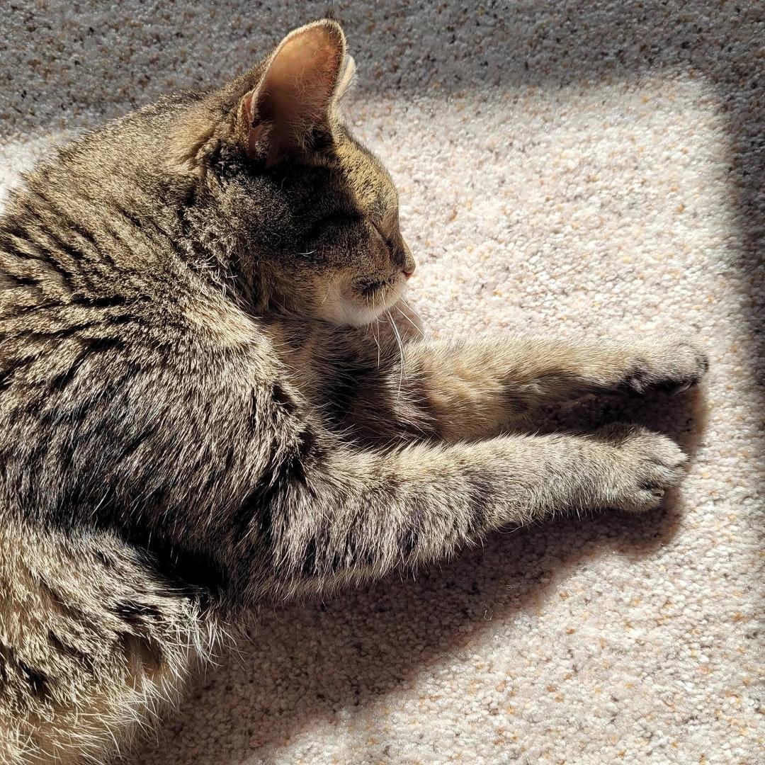 When that sunbeam hits juuuuust right