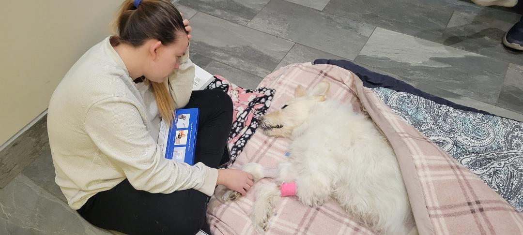 Chloe is finally at peace.