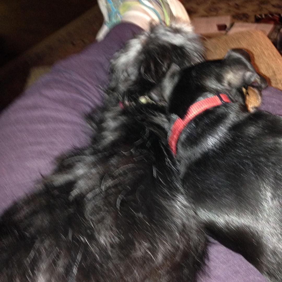 Barbara Roberts' album, iOS Photos