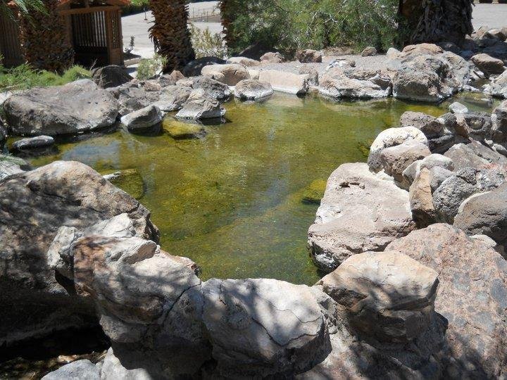 There is a natural spring just a short distance from the ranch and the water flows freely here. One of the reasons the ranch was established here.