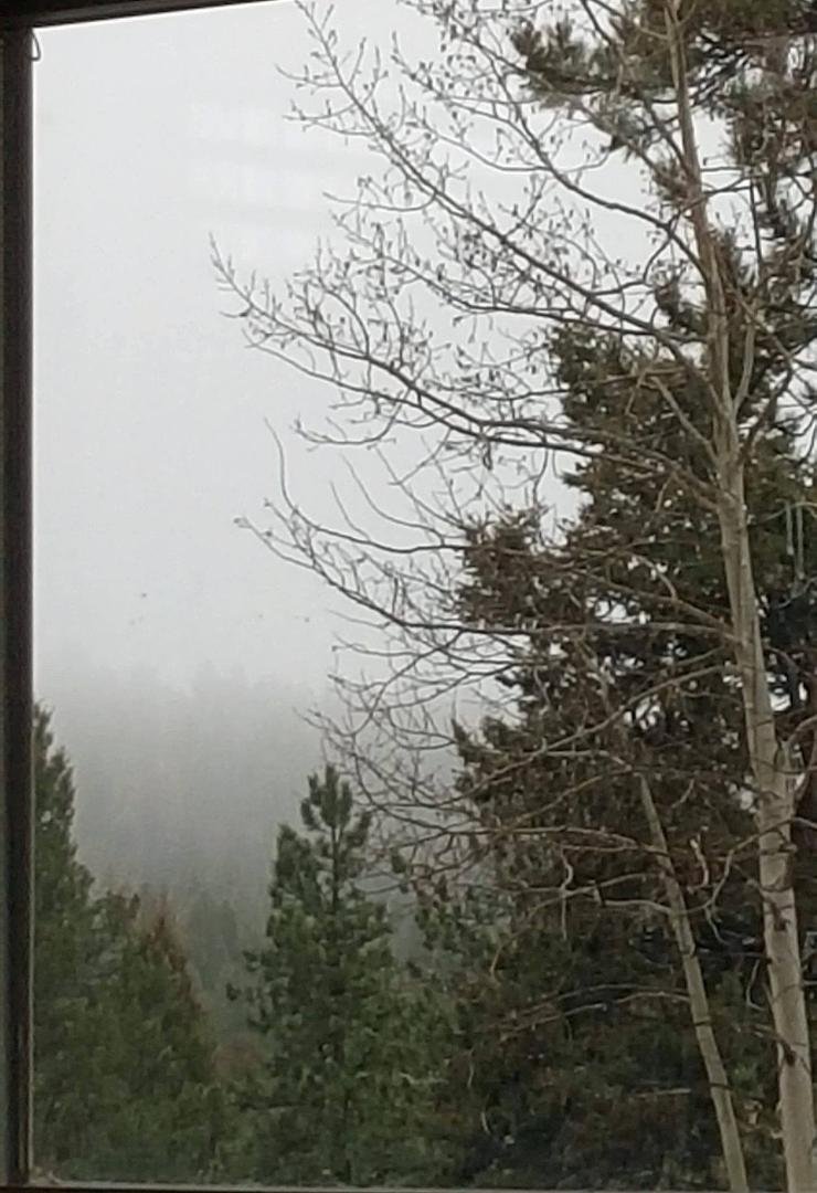 Crazy weather we're having in Colorado today - sunny, cloudy, rainy, thunder snowing, snowy, foggy. LOVE it!