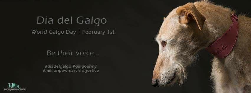 Janice Gillies' album, Mobile Uploads