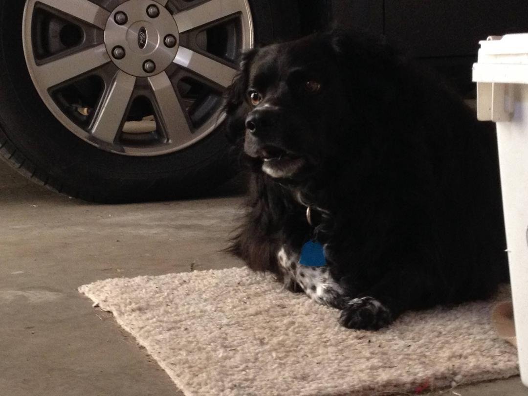 Refuses to put the rock in her mouth down to come in the house