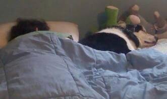 OK I am asking my friends and family a question.....for all of u that remember my husky I had for 15 years....doesnt Bella favor her a lot? Or am I just crazy