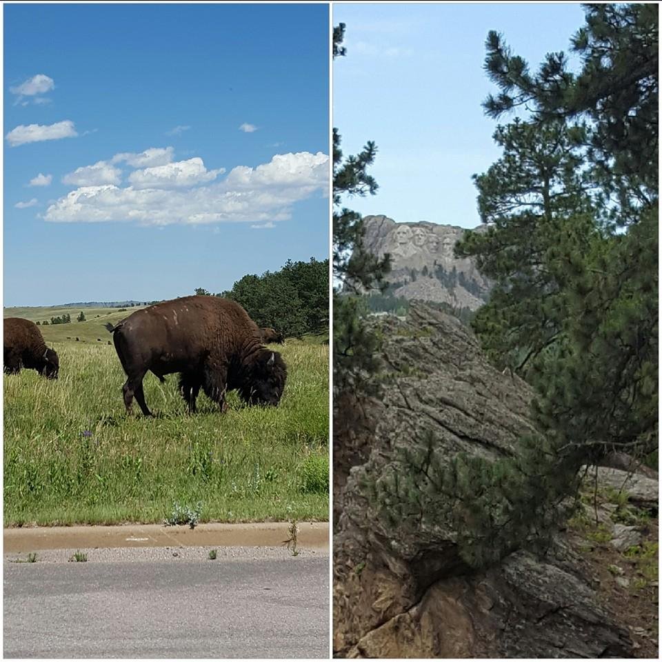 The Black Hills, SD