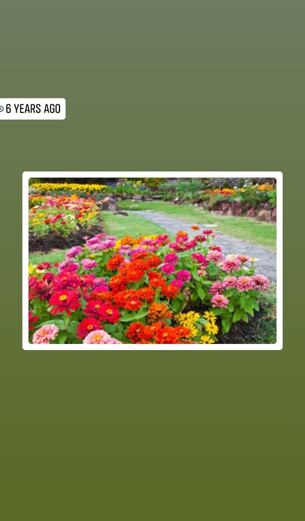 Nelda Meixner's album, Mobile uploads