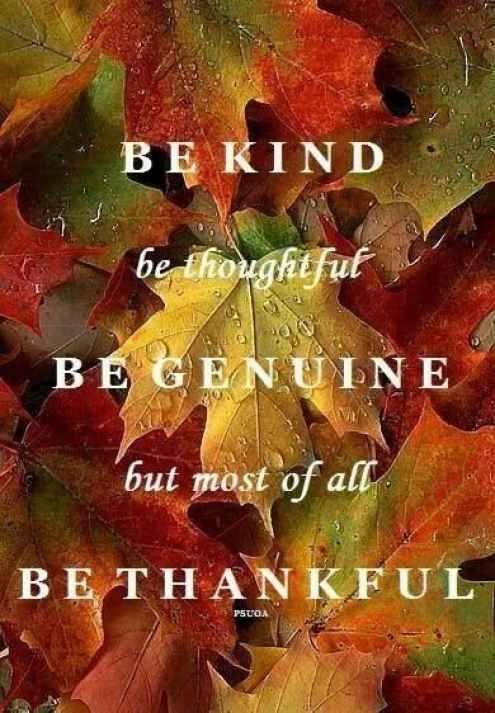 Happy Thanksgiving!