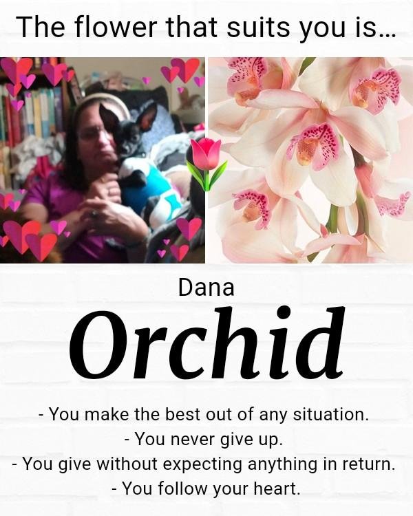 Dana Clough's album, Timeline photos