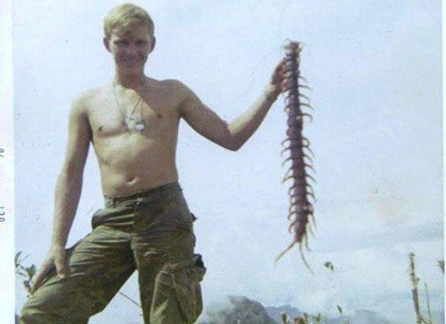 See what you missed by staying home in the sixties, new and exotic wild life in Southeast Asia. This is a centipede , they don't play well with others